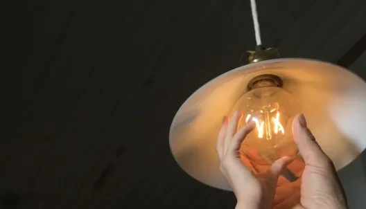 Elekter Alexelast